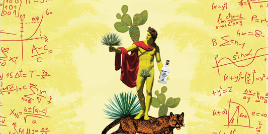 Taxes Suck. Tequila Doesn't. Do The Math.