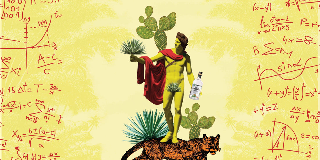 Taxes Suck. Tequila Doesn't. Do The Math.